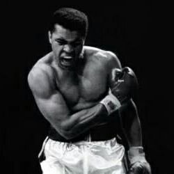 maafade001's profile picture. 