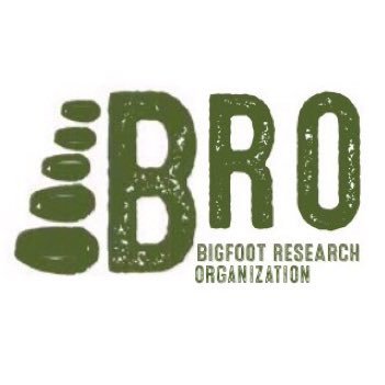 Finding Bigfoot deal with more than 20 years. A description of your meeting with the photos, you can send to organizationresearchbigfoot@gmail.com. Thanks!