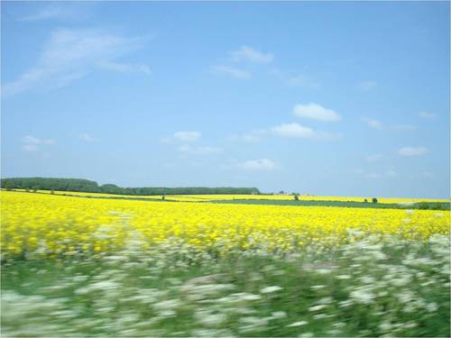 blakeme's profile picture. 