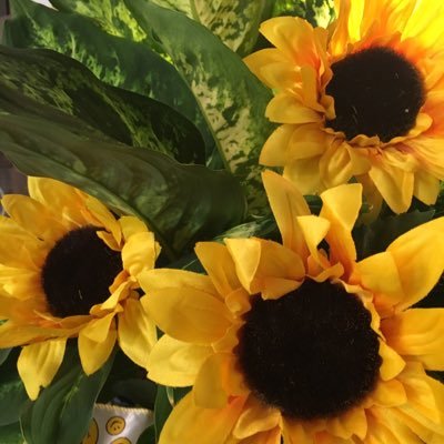 mishrojecl1's profile picture. 