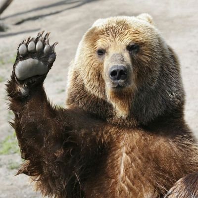 geodagres's profile picture. Associate Principal at Maine South High School, Park Ridge, IL.  My tweets are my own.