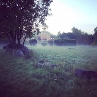 Wanderingempath (@wanderingemp) 's Twitter Profile