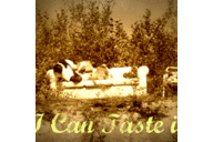 Alan Sherek - @icantasteit - Twitter