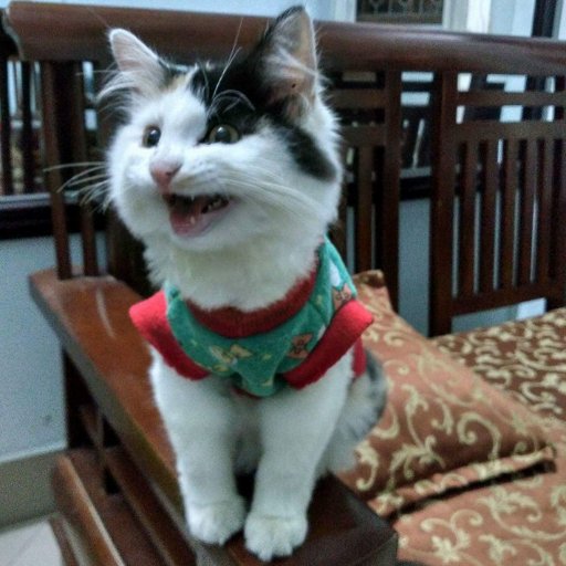 3110Bui's profile picture. 