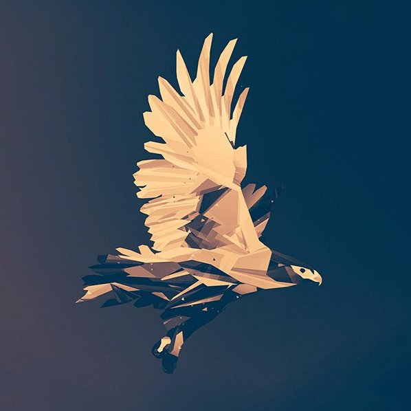 Funforday's profile picture. Fun4day