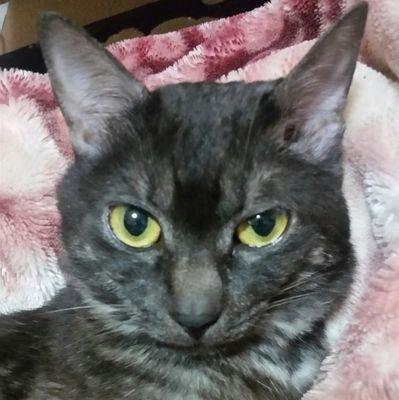 Lawさんのプロフィール画像