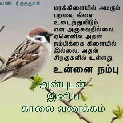 Shivaa40028957's profile picture. Full of happiness
