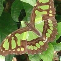 Georg Weidacher (@georg_weidacher) Twitter profile photo