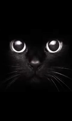 Espiritulibre82's profile picture. Si lloras por haber perdido el sol, tus lágrimas no te dejarán ver las estrellas.