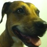 M. Winterdale (@mazzypet) 's Twitter Profile Photo