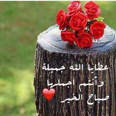 radia56789's profile picture. 