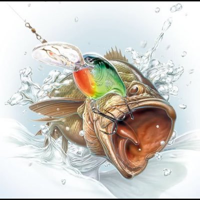 swamp_donkeys_'s profile picture. DM to be featured.   #keepemtight