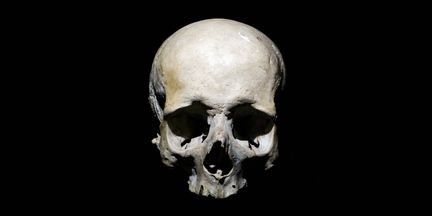 RikFoulkes's profile picture. 