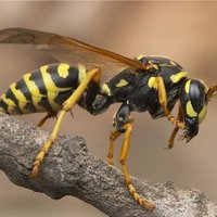 Denis S. 🇫🇷🇺🇦🇪🇺 (@snide2222) 's Twitter Profile Photo