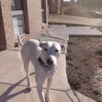 Julie Gardner (@julieg3008) 's Twitter Profile