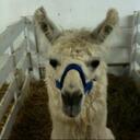 Patrick McNabb - @Patrickjmcnabb - Twitter