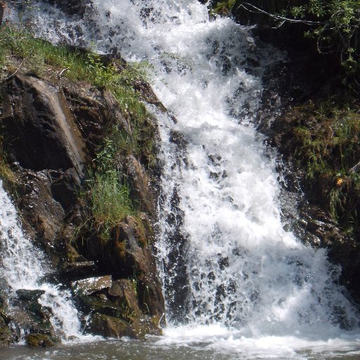 jasongosm's profile picture. I Teach people how to make money from home!