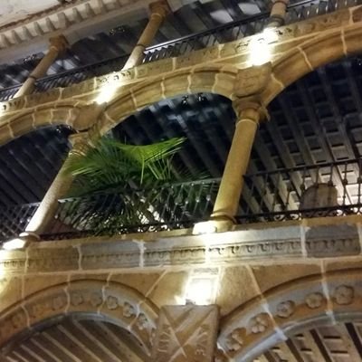 Perdedor sistemático de tiempo por puro placer. Buscador. Inversor vital y aprendiz de virtuosos