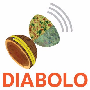 DIABOLO - Distributed, Integrated And Harmonised Forest Information For Bioeconomy Outlooks; Horizon 2020 project. #forestinventory #remotesensing #bioeconomy