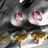 valendefaveri2's profile image