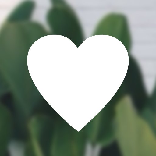 ianrsurf's profile picture. 