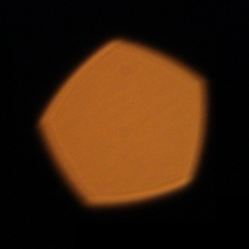 borodaxel's profile picture. мечтаю стоить двух а обходиться еще дороже...