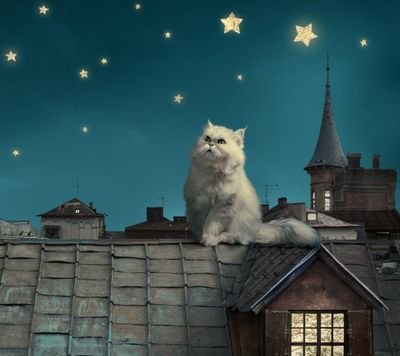 virginie5818's profile picture. 