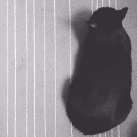 SharingThoughts (@sharingbebetter) 's Twitter Profile