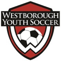 Westborough Youth Soccer Association (WYSA) is a non-profit youth soccer association located in Westborough, Massachusetts.
