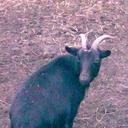 Patrick Wilke - @_Prinz_Irgentwo - Twitter