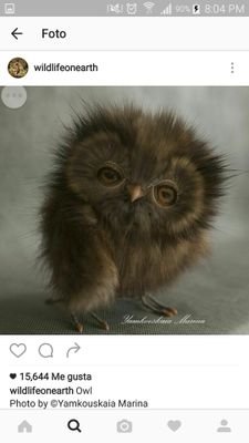 BAZAINE24's profile picture. EN DESARROLLO