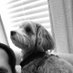 Charles Larkin (@larkincj) Twitter profile photo Charles Larkin (@larkincj) Twitter profile photo