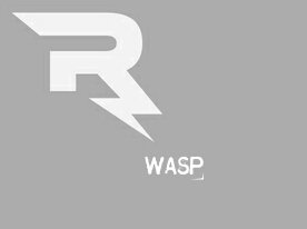 Member of @OfficialTeamRVS