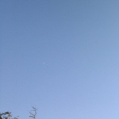 himanaka_taribe's profile picture. はたらくのってしんどいよね。