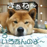 トチロー (@tochiro__) Twitter profile photo