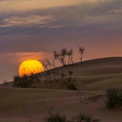لآ إله الآ أنت سبحآنك إني كنت من الظآلمين .♡ يارب سخر لي من يذكرني بعد موتي.