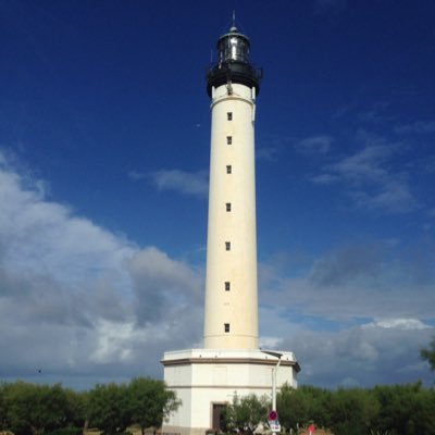 EduMartin's profile picture. 