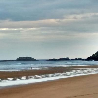 ymunea's profile picture. Biblioteca Universitat de Barcelona