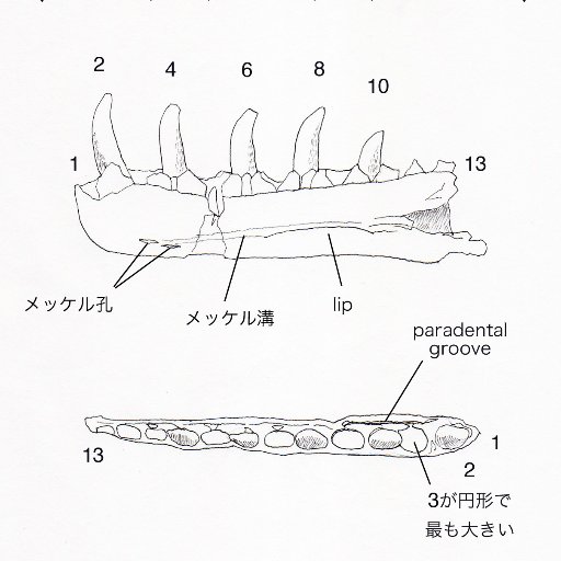 theropod66's profile picture. 