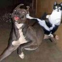 Austin David Flores - @unflores - Twitter