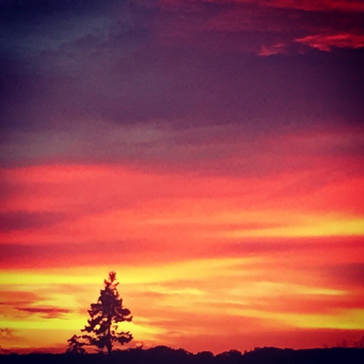 Giggles0606's profile picture. 