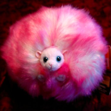 ThePygmypuff