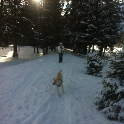 lizav313's profile picture. Architect and Nature lover