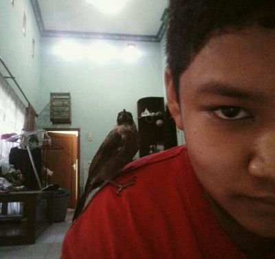 IrsyadHamdi1's profile picture. Tekuni apa yg penting