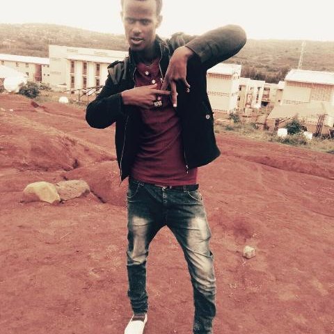 gamesmart430's profile picture. chemical engineering student