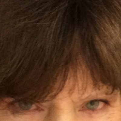 Personal Twitter here. Political news junkie, still a Buckeye, proud member SWFL News Guild. Coffee? Of course. Catch me as arts/ent newsie at NDN_HarrietHeit.