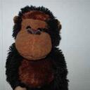 Cindy Kwiatkowski - @ckwiat - Twitter