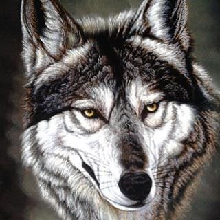 robore25's profile picture. Nací ayer, cuando cobré conciencia de la miserable condición humana. Soy un filósofo inmerso en el análisis de la metafísica...