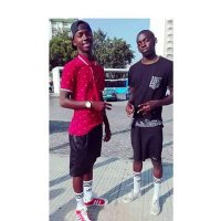 elviscv (@elvisbgbg1) 's Twitter Profile
