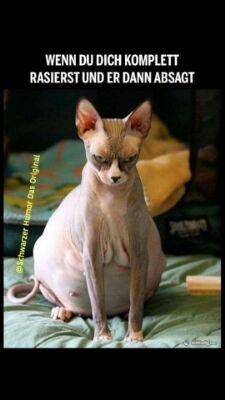 HannesMally's profile picture. You cant judge a book by looking at its cover!